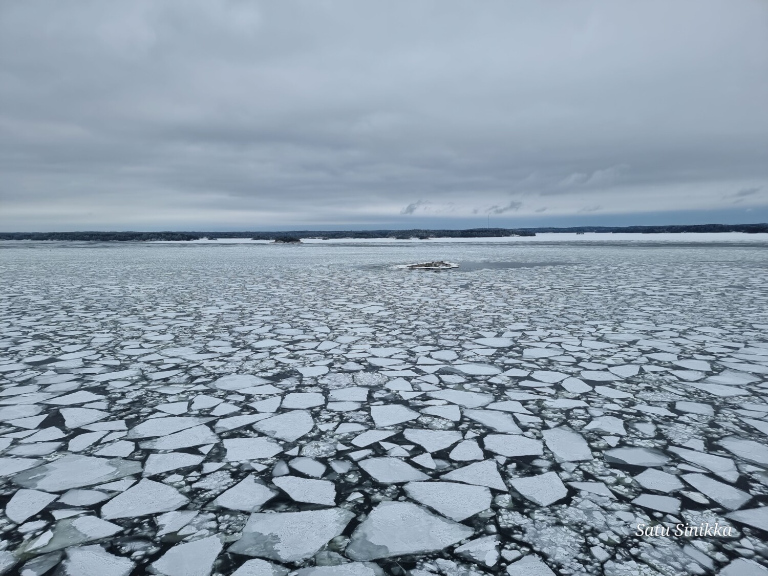 Jäälauttoja järven pinnalla