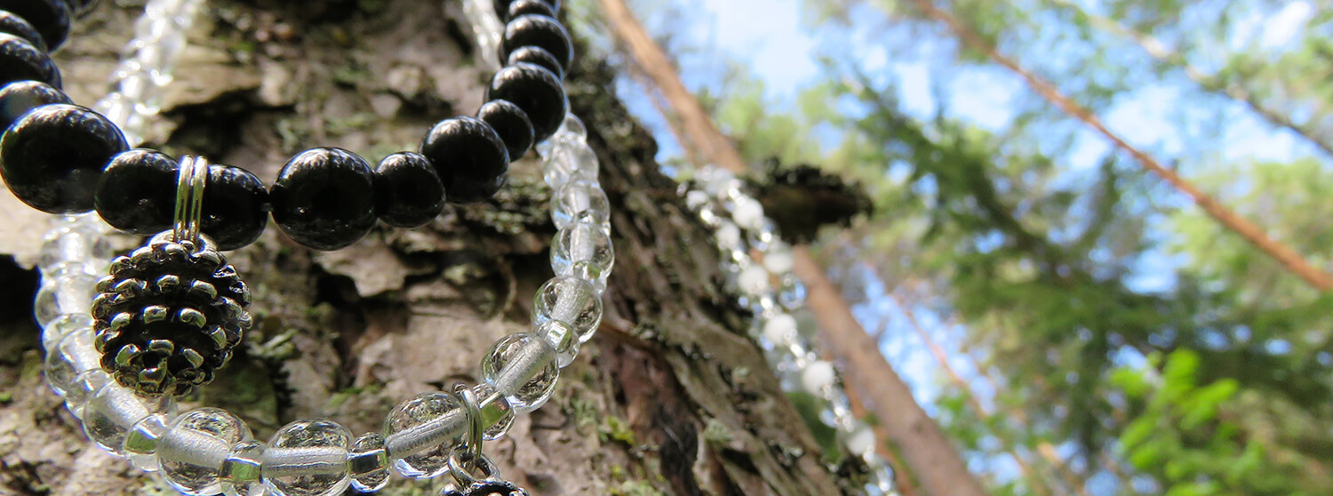 Koruja roikkuu männyn rungolla.